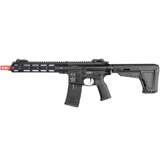 ICS CXP MMR SBR