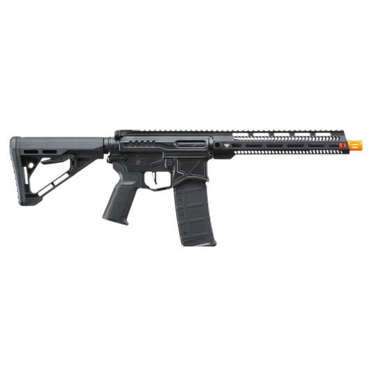 Zion Arms R15 Mod 1 Long Rail Rifle w/ Delta Stock